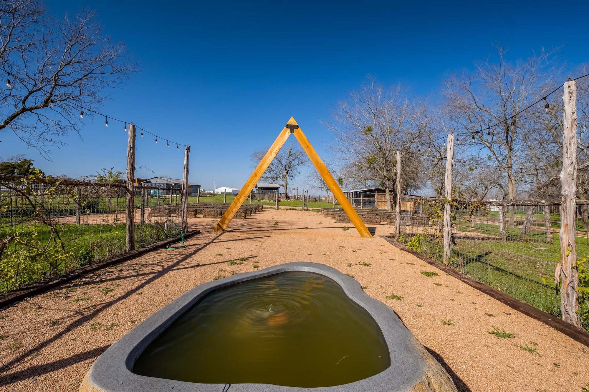 View back through the ceremony arch across the ranch